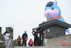 南京：正月十六爬城头 民众登高“踏太平”“走百病”